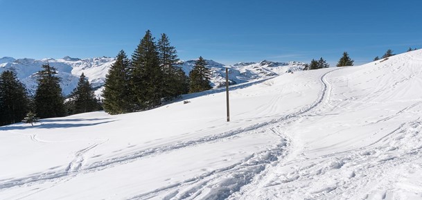 Winterwandern, evtl. Schlitteln in Weissenberge